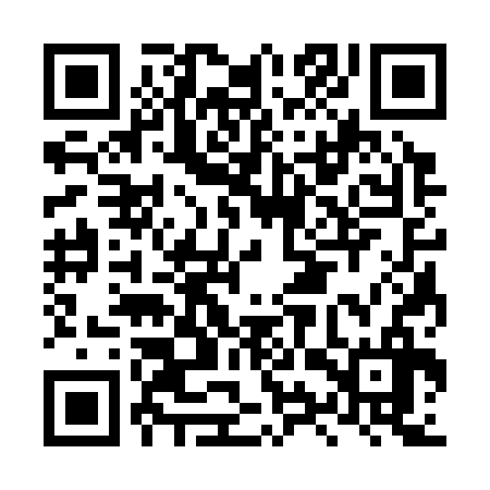 QR code for LYS336