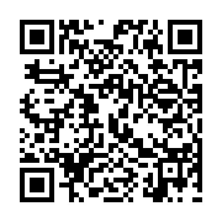 QR code for LYU913