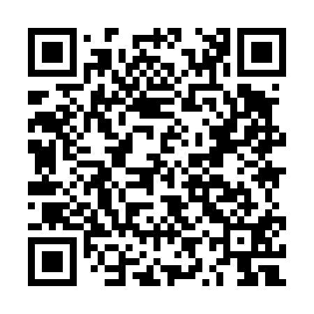QR code for LYY411