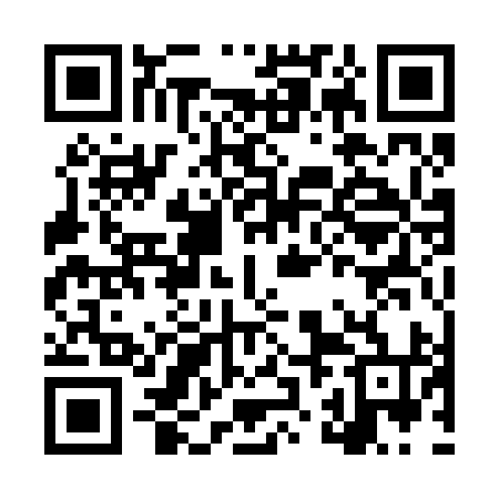 QR code for LZA294