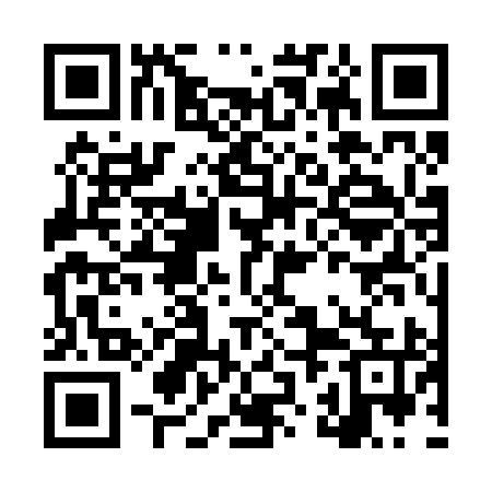QR code for LZC295