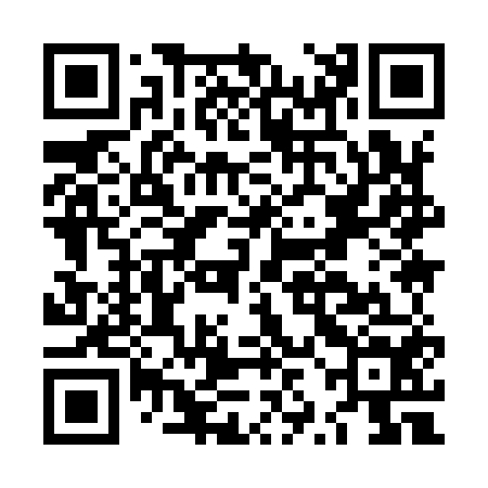 QR code for LZI954
