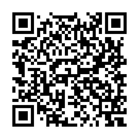 QR code for LZJ995