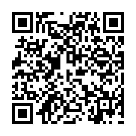 QR code for LZN271