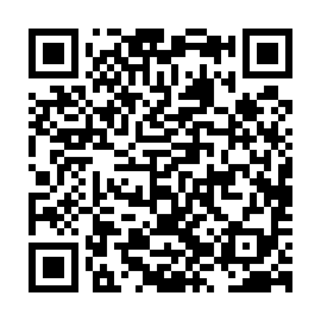 QR code for LZP599