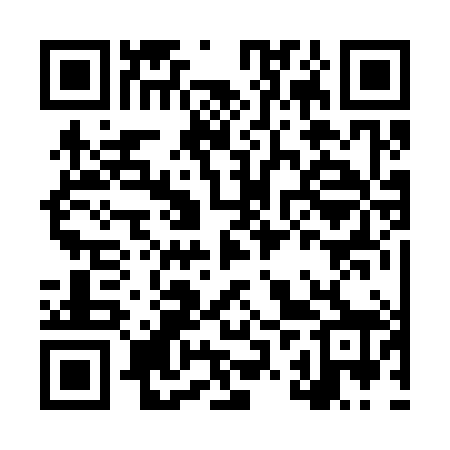 QR code for LZR388