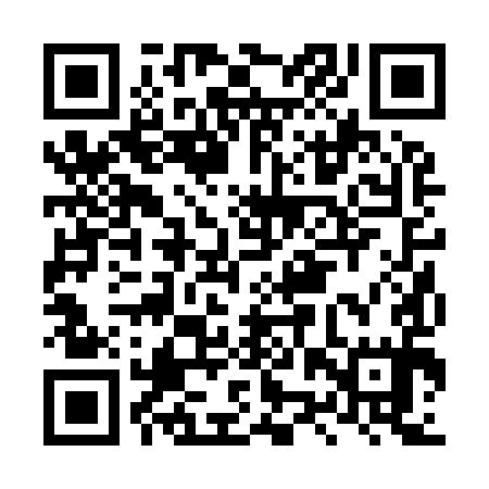 QR code for LZR995