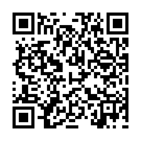 QR code for LZT387