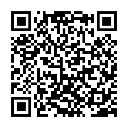 QR code for LZV031