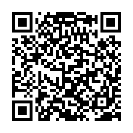 QR code for LZV297