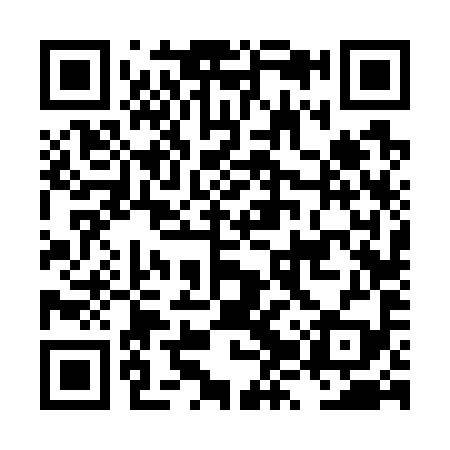 QR code for LZV799