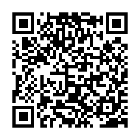 QR code for LZW595