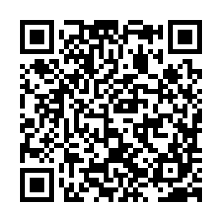 QR code for LZZ384