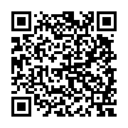QR code for MAD481