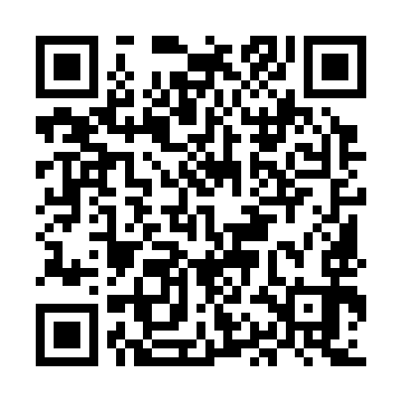 QR code for MAM393