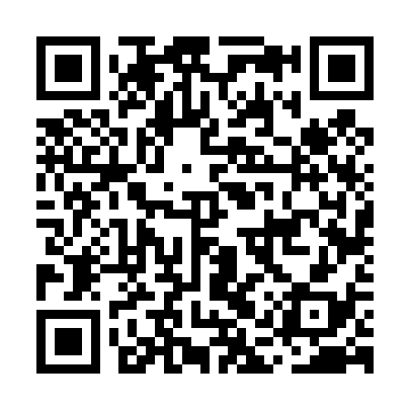 QR code for MAV438