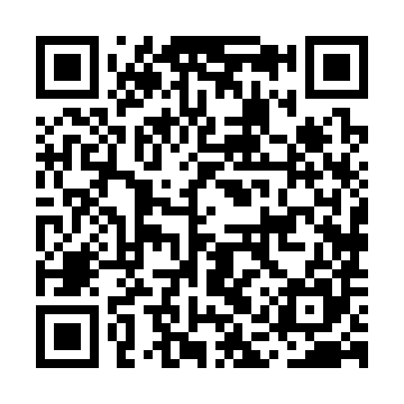 QR code for MAX385