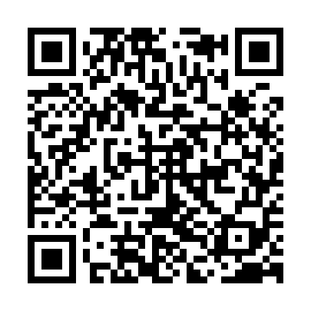 QR code for MDG959