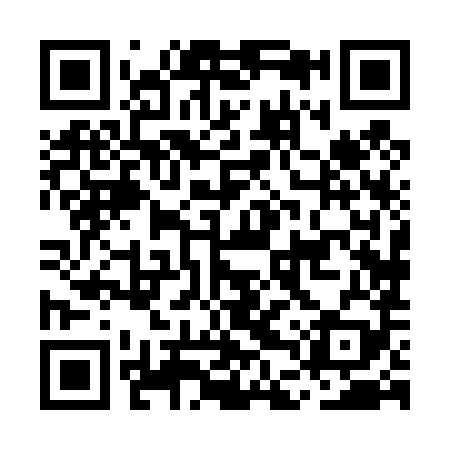 QR code for MDX489