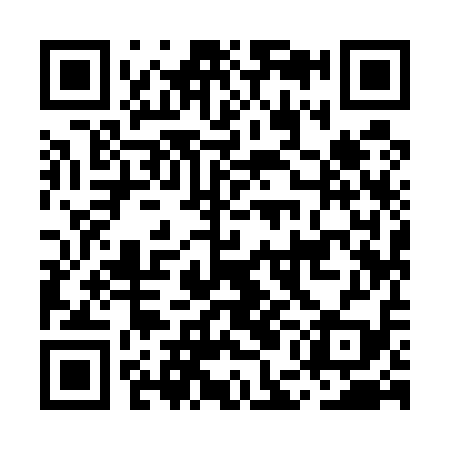 QR code for MEI519