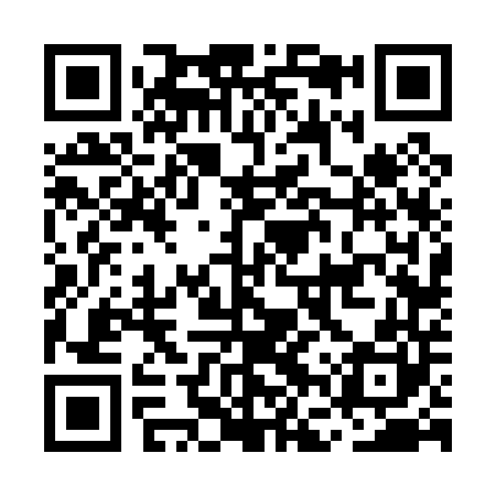 QR code for MFV040