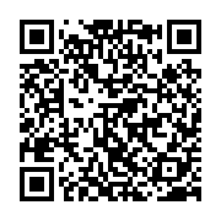 QR code for MFV208