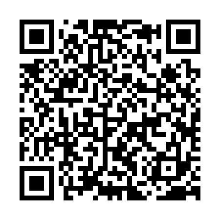 QR code for MGR333