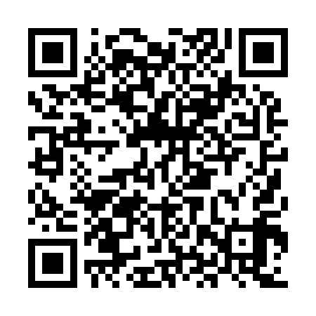 QR code for MHP919