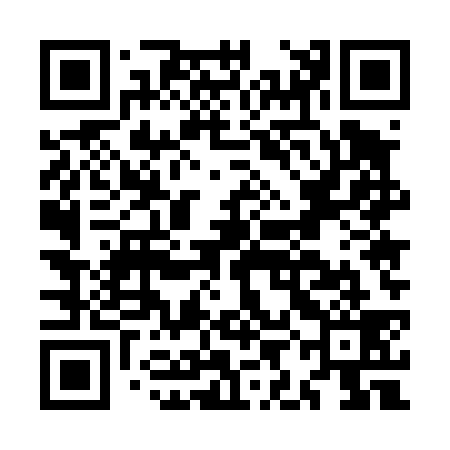 QR code for MIE439