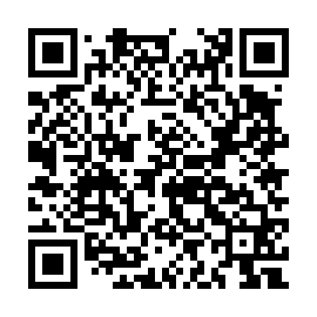 QR code for MIE460