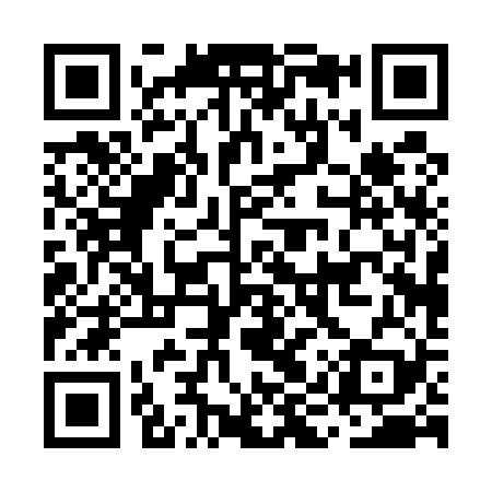 QR code for MIP529