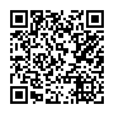 QR code for MIT249