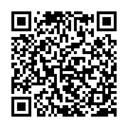QR code for MIU383