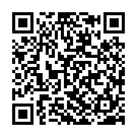 QR code for MJX234