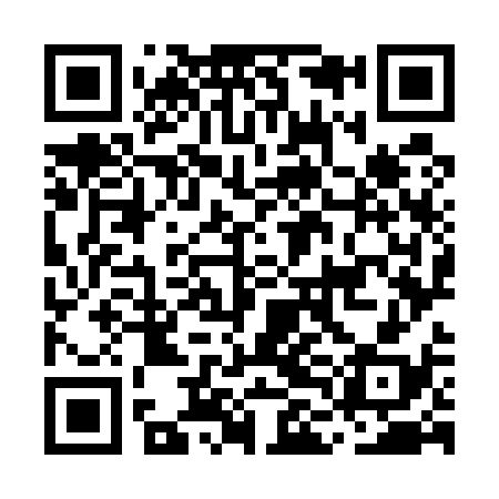 QR code for MLO538