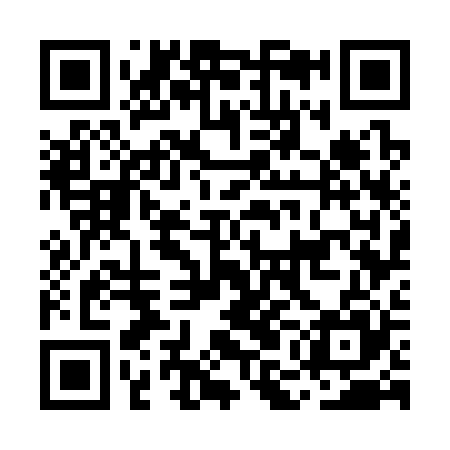 QR code for MMG325