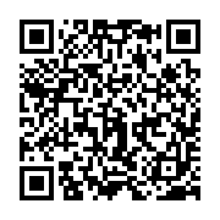 QR code for MMV393
