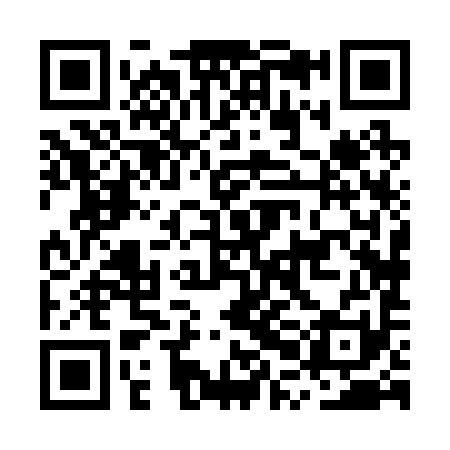 QR code for MPH291