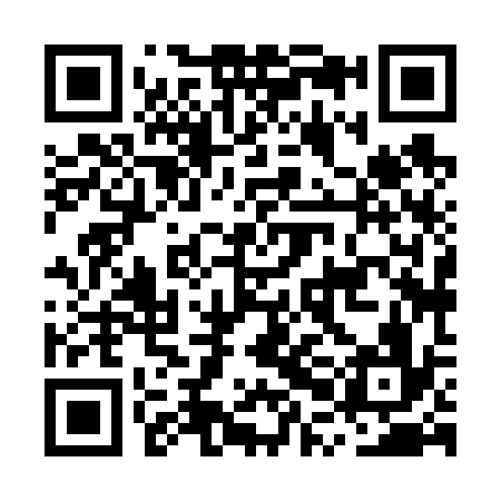 QR code for MPH636