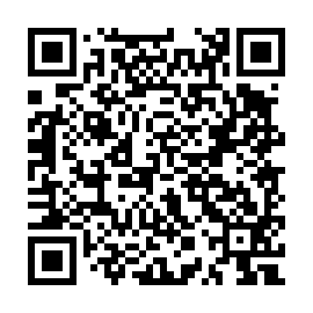 QR code for MPP493