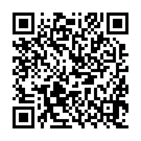 QR code for MPV294