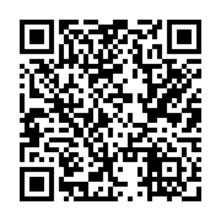 QR code for MPV341
