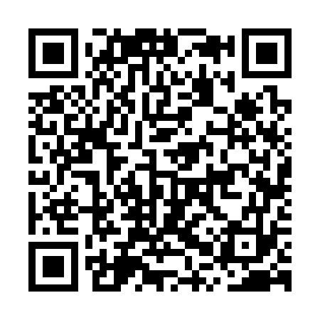 QR code for MPV373
