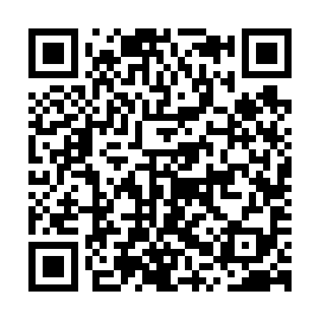 QR code for MPV699