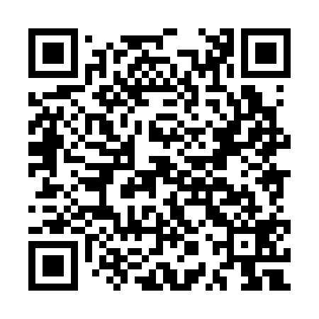 QR code for MPX319