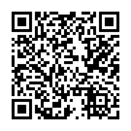 QR code for MPX953