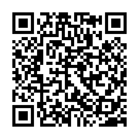 QR code for MRI038