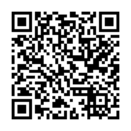 QR code for MRM313