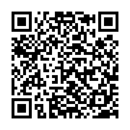 QR code for MSL595
