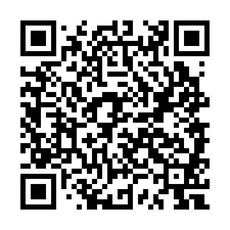 QR code for MSN380